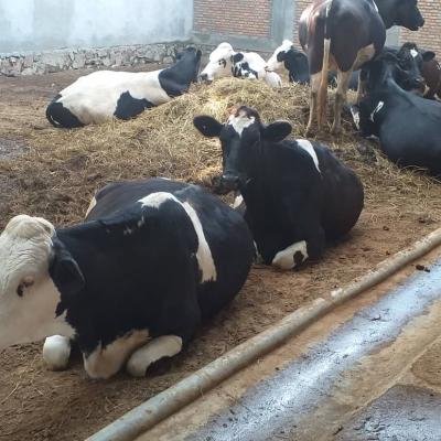 Whatsapp Image 2019 08 29 At 4.14.10 Pm